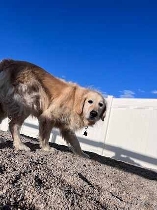 Eagle Mountain Dog Boarding and Grooming