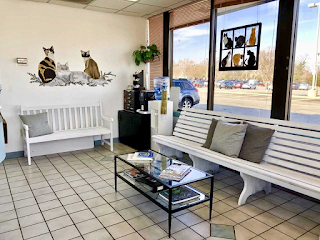 VCA Beacon Hill Cat Hospital