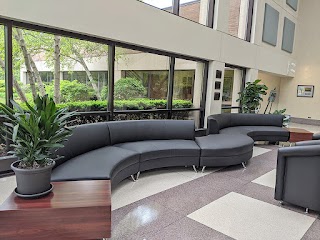 Modern Line Furniture