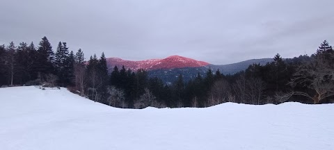 Sport-Kern Seebach Wintersportgeschäft