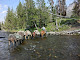 Photo of Wyoming Summer Pack Trips - 3348 North Fork Highway, Cody, WY 82414, USA