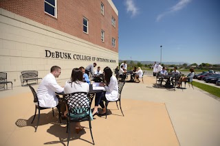 Lincoln Memorial University-DeBusk College of Osteopathic Medicine