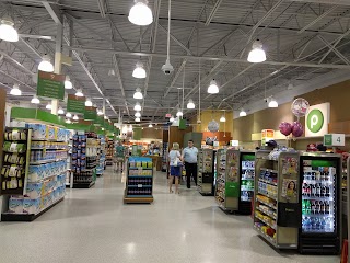 Publix Super Market at Stillwood Pavilion at Summer Grove