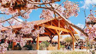 Alojamiento Rural y Centro de Ocio en Ibi (Alicante) Finca Daroca