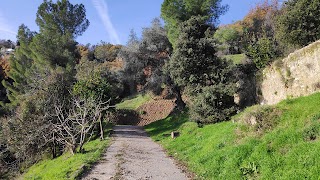 Parc Docteur Jean Guillaud