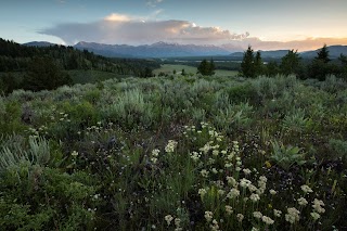 Jackson Hole Land Trust