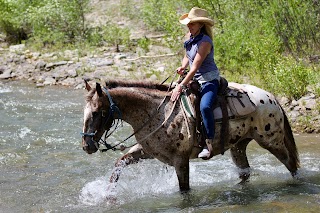 Willow Creek Horseback Rides