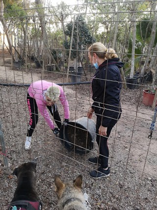 Parque Canino