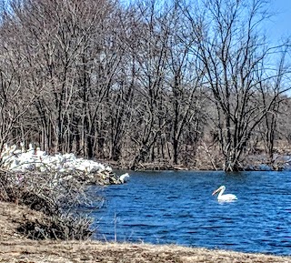 Rock Island Conservation Club