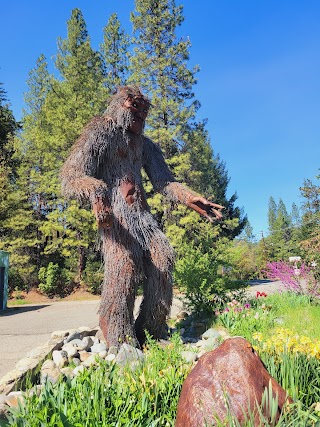 Karuk Tribe People's Center Museum & Gift Shop