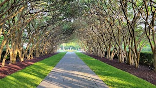 The Dallas Arboretum and Botanical Garden