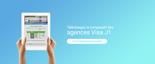 Visa J1