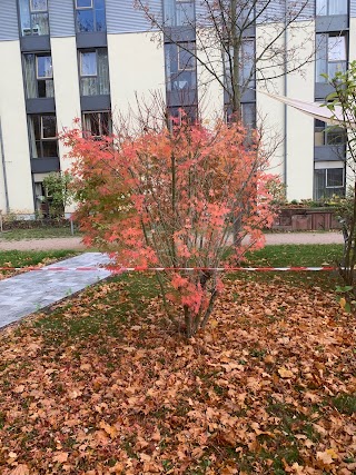 Pfalzklinikum für Psychiatrie und Neurologie