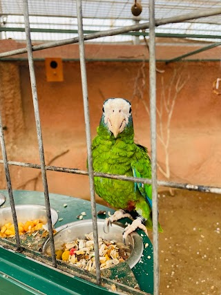 Balsa del Sapo Parque Ornitológico y Centro de Interpretación