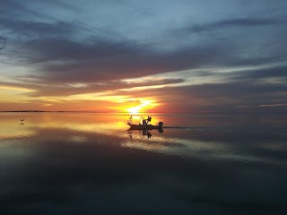 Driftwood Landing