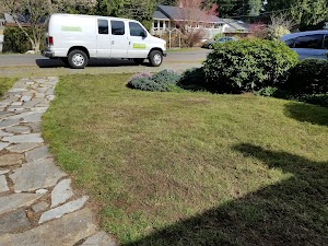 Evergreen Lawn Aeration