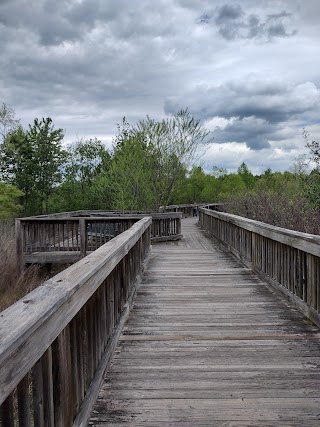 Broadlands Wetlands Preservation Area