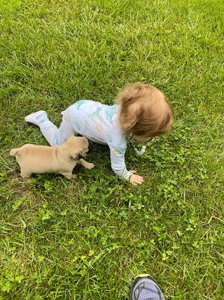 Pender Veterinary Centre - Manassas