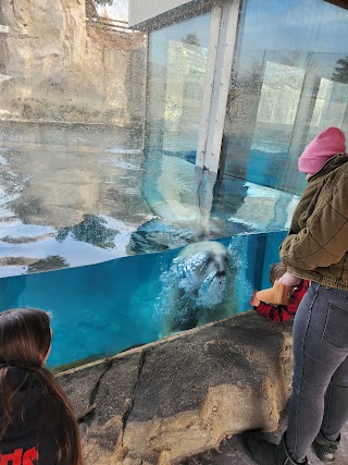 Rocky Shores at Hogle Zoo