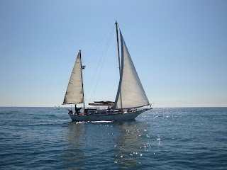 Velero Ocean Cruiser - Paseos en barco - Excursiones - Eventos - Delfines Benalmádena