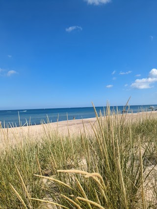 Indiana Dunes National Park Cowles Bog Trail