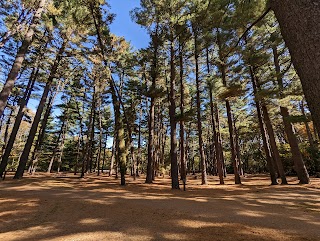 Sand Ridge State Forest