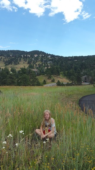 Foothills Pool Genesee