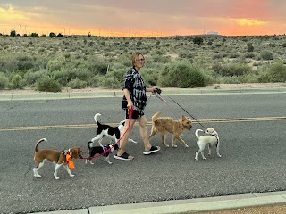 She Sleeps With Dogs