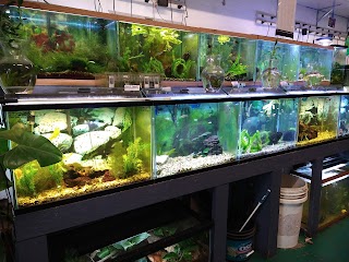 Pet Shop Santa Cruz