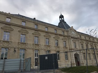 Collège Université