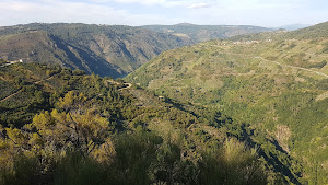 Igrexa de San Lourenzo de Barxacova - RIBEIRA SACRA