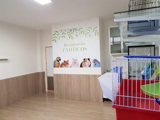 Residencia para animales exóticos Sevilla