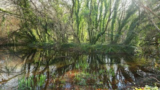 A lagoa de Ciencias