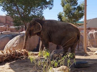 El Paso Zoo and Botanical Gardens