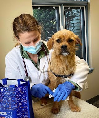 VCA Fitzgerald Animal Hospital