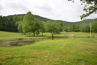 Bald Mountain Creek Farm