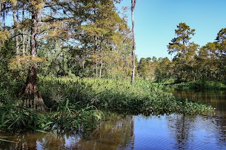 ECO-TOURS OF SOUTH MISSISSIPPI