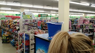 Dollar Tree