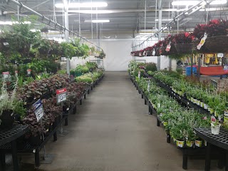 Walmart Garden Center