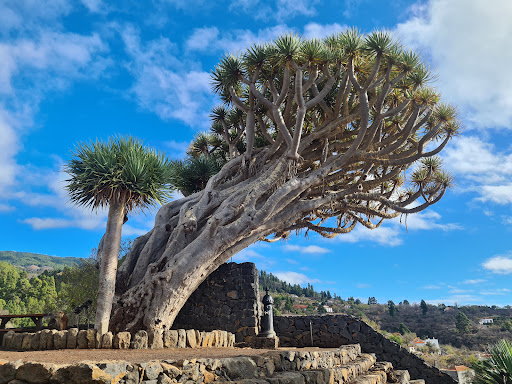 Mirador de Los Dragos