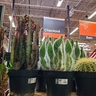 Garden Center at The Home Depot