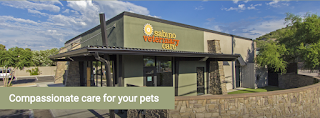 Sabino Veterinary Care