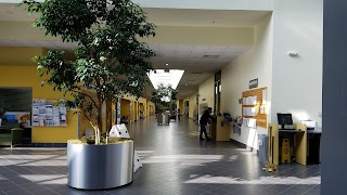 University Center