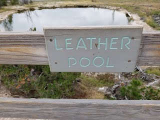 Leather Pool