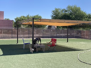 Beast & Nugget’s Doggy Day Care