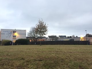 Collège Jean Macé de waynfr