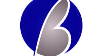 Belle Business Services