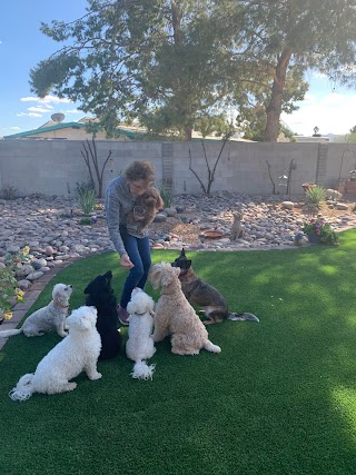 Auntie Cathy's Dog Daycare and Boarding in Tucson, Arizona