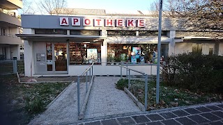 Dürer's pharmacy