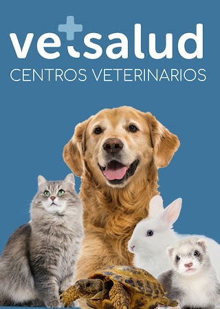 VetSalud Centro Veterinario